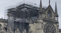 Reconstruction de Notre-Dame de Paris : la filière forêt-bois s'organise