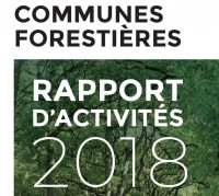 Rapport d'activités 2018