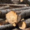 Retrait du projet d'encaissement des recettes de ventes de bois des Communes par l'ONF