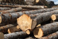 Retrait du projet d'encaissement des recettes de ventes de bois des Communes par l'ONF