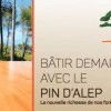 Un élan collectif pour bâtir demain avec le pin d'Alep