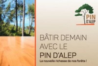 Un élan collectif pour bâtir demain avec le pin d'Alep