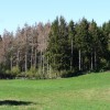 "Réchauffement climatique: nos forêts sont-elles condamnées à mourir?" à écouter sur France culture