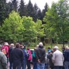 « Territoires d'innovation » : un projet forêt-bois lauréat