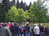 « Territoires d'innovation » : un projet forêt-bois lauréat