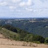 Lanceurs d'alerte pour toutes les forêts