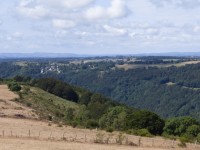 Lanceurs d'alerte pour toutes les forêts