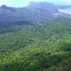 Adhésion du Conseil départemental de Mayotte aux Communes forestières