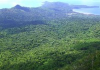 Adhésion du Conseil départemental de Mayotte aux Communes forestières