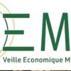 La filière forêt-bois met en ligne sa veille économique mutualisée