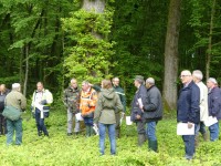 Un projet de portail de données dédié aux communes propriétaires de forêts