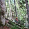 Points de secours en forêt : un appel à la contribution des Communes forestières