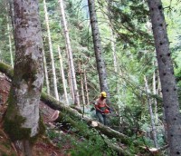 Points de secours en forêt : un appel à la contribution des Communes forestières