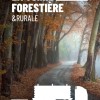 Voirie forestière : un nouveau guide à destination des élus