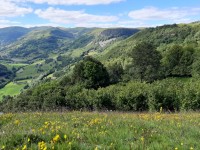 Pour un nouveau programme Montagne avec le bois au coeur de la relance des massifs