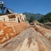 Bois des Pyrénées : l'exemple de la filière lait pour améliorer la traçabilité
