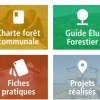 Une application dédiée aux élus forestiers