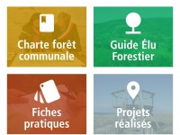 Une application dédiée aux élus forestiers