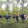 Avenir de l'Office national des forêts: l'art de la répétition