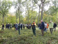 Avenir de l'Office national des forêts: l'art de la répétition