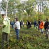 Forêt française: les conditions de la réussite