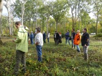 Forêt française: les conditions de la réussite