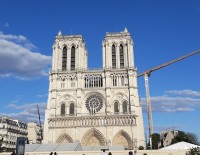 Reconstruction de Notre-Dame de Paris : les Communes forestières s'organisent