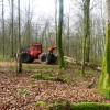 Enlèvement en douceur et dépose en bord de route des chênes