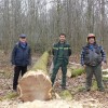 La commune de Bouhans-lès-Lure a donné plusieurs chênes de sa forêt communale