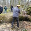 La commune de Villaines-en-Duesmois a donné 2 chênes