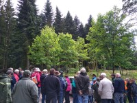 Office National des Forêts: Où est la trajectoire ?