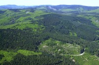 Plan de relance : les Communes forestières maintiennent les interventions sur la règle de minimis