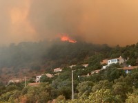 Le maire au coeur de la prévention et de la lutte contre les incendies de forêt