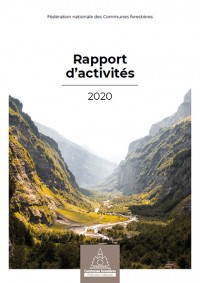 Rapport d'activités 2020