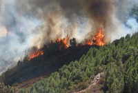 La protection des forêts contre le risque incendie