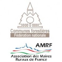 Communiqué de presse : La nécessité du renforcement des services publics forestiers pour des forêts en péril