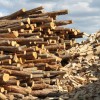 Un cadre règlementaire européen sur le bois énergie