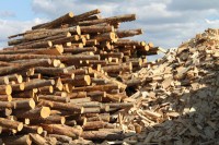 Un cadre règlementaire européen sur le bois énergie