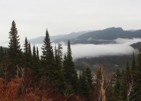 La FNCOFOR visite et reçoit le Québec