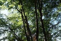 Des formations essentielles pour nos administrateurs sur la protection des forêts et le régime forestier