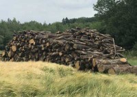 Le Bois énergie en débat au sein du Parlement Européen