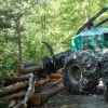 Une situation difficile pour les entrepreneurs forestiers
