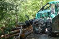 Une situation difficile pour les entrepreneurs forestiers