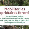 Des propositions d'actions pour "mobiliser les propriétaires forestiers"