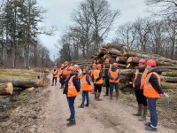 Le débardage par câble en forêts de plaine