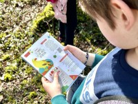 La Journée internationale des Forêts