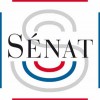 Audition au Sénat et à l'Assemblée nationale sur les sujets forestiers