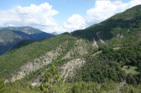 L'observatoire du Foncier forestier