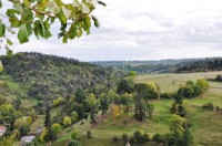 Distraction du régime forestier: notre position