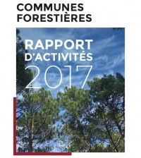 Rapport d'activités 2017